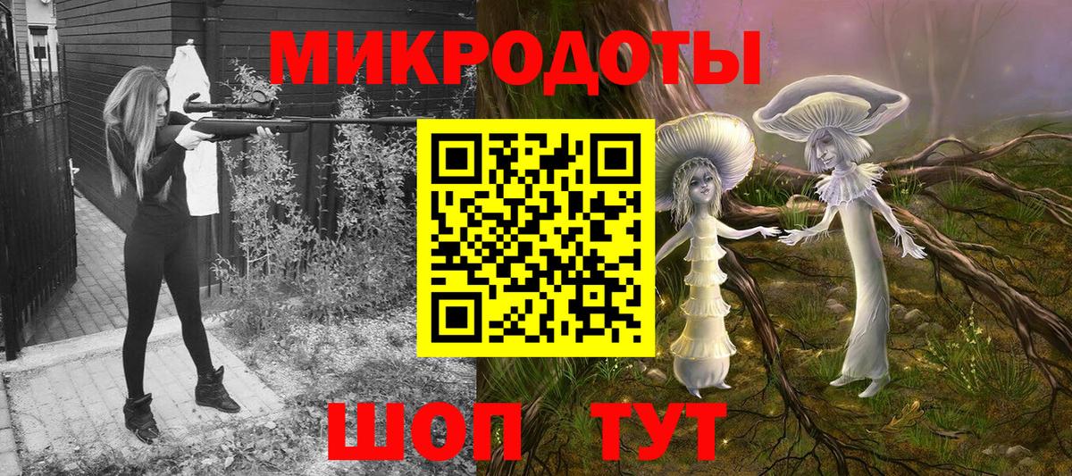 Галлюциногенные грибы Psilocybine cubensis Мичуринск