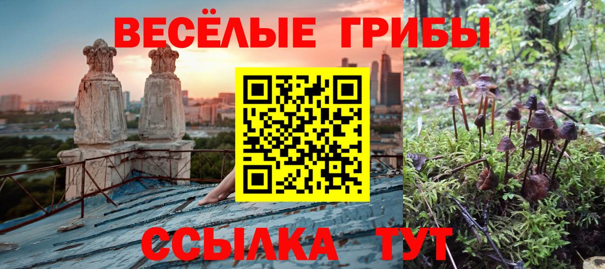 Мичуринск  Галлюциногенные грибы Cubensis  Вход с VPN  Галлюциногенные грибы GOLDEN TEACHER 