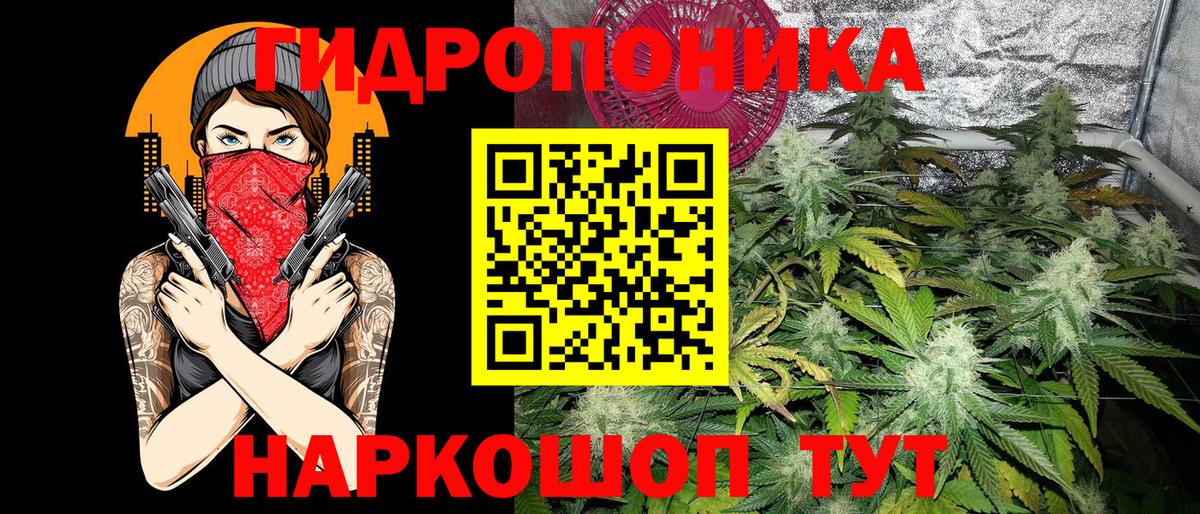 Конопля ГИДРОПОН  Конопля VHQ  Вход с VPN  Бошки марихуана семена  Мичуринск 